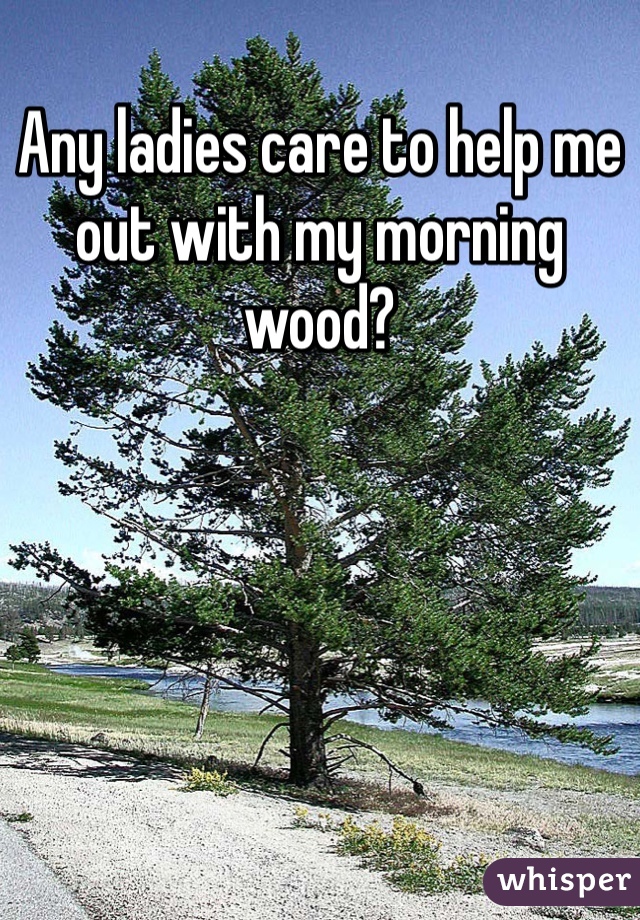 Any ladies care to help me out with my morning wood? 