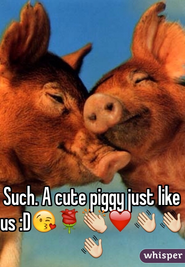 Such. A cute piggy just like us :D😘🌹👏❤️👋👋👋