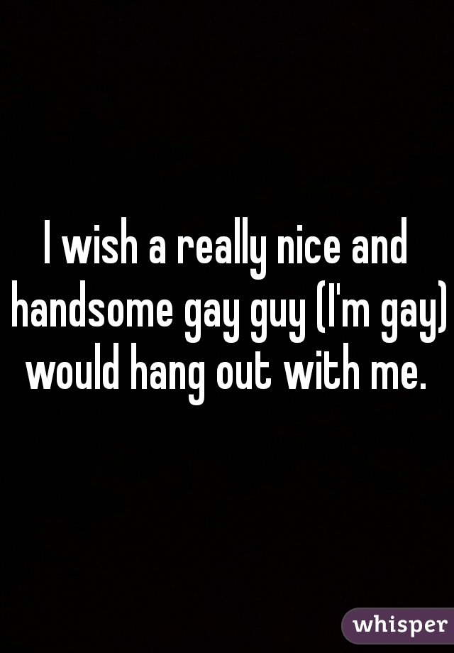I wish a really nice and handsome gay guy (I'm gay) would hang out with me. 