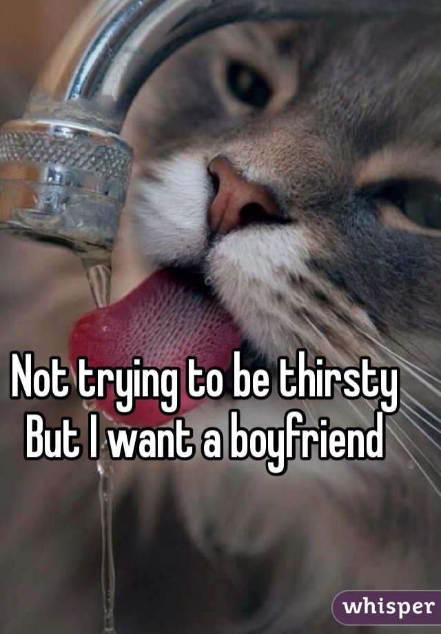 Not trying to be thirsty 
But I want a boyfriend
