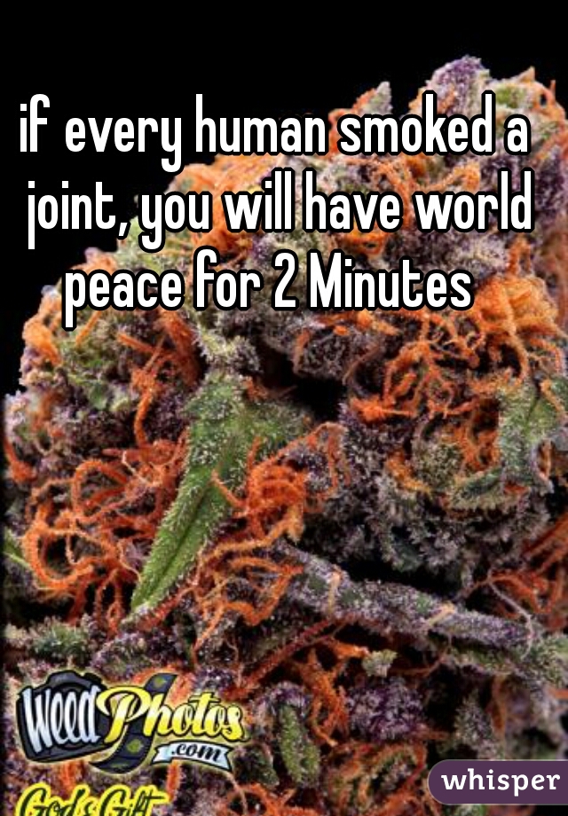 if every human smoked a joint, you will have world peace for 2 Minutes  