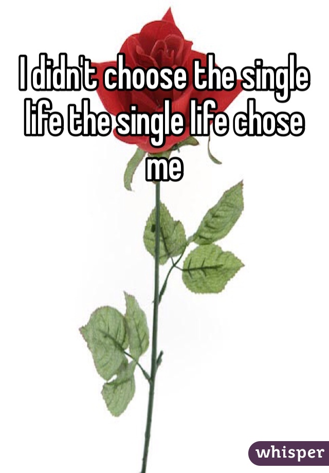 I didn't choose the single life the single life chose me