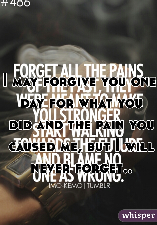 I may forgive you one day for what you did and the pain you caused me, but I will never forget..