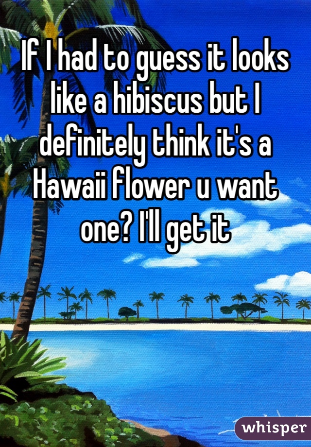 If I had to guess it looks like a hibiscus but I definitely think it's a Hawaii flower u want one? I'll get it