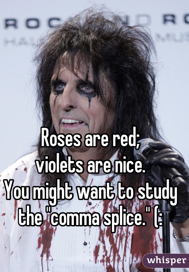 Roses are red; 
violets are nice.
You might want to study
the "comma splice." (: