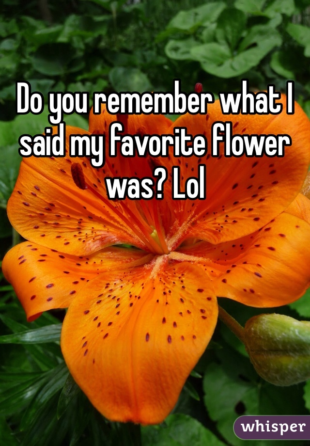 Do you remember what I said my favorite flower was? Lol 