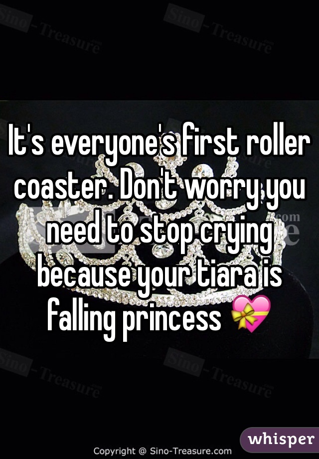 It's everyone's first roller coaster. Don't worry you need to stop crying because your tiara is falling princess 💝