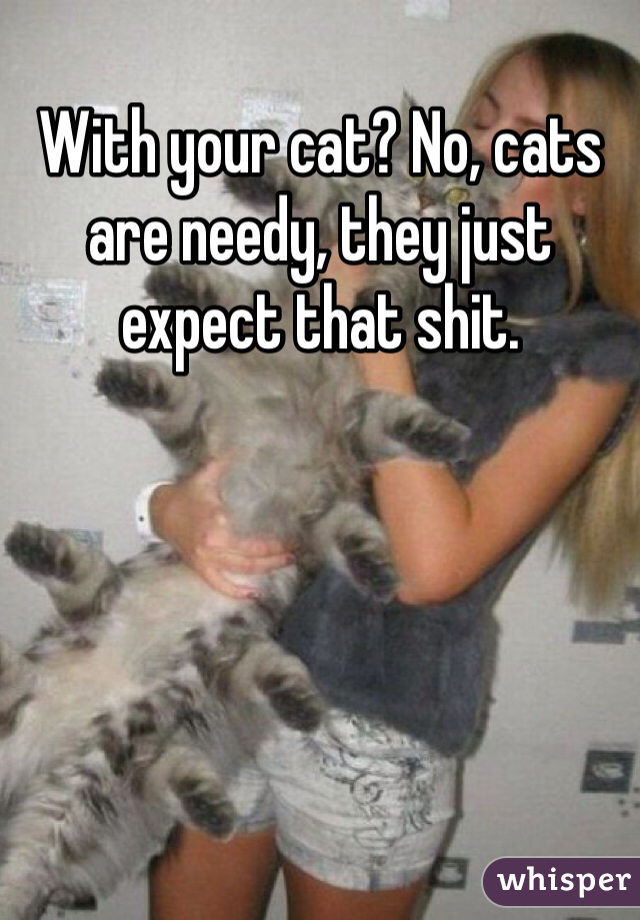 With your cat? No, cats are needy, they just expect that shit. 