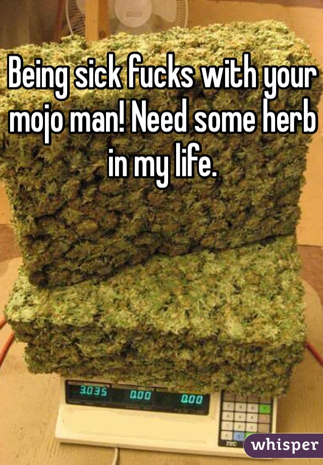Being sick fucks with your mojo man! Need some herb in my life. 