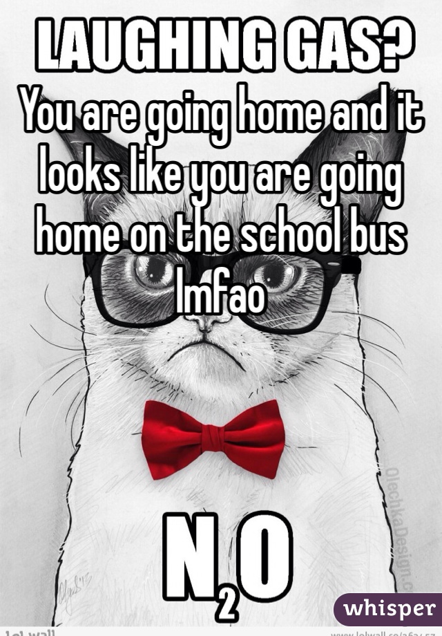 You are going home and it looks like you are going home on the school bus lmfao