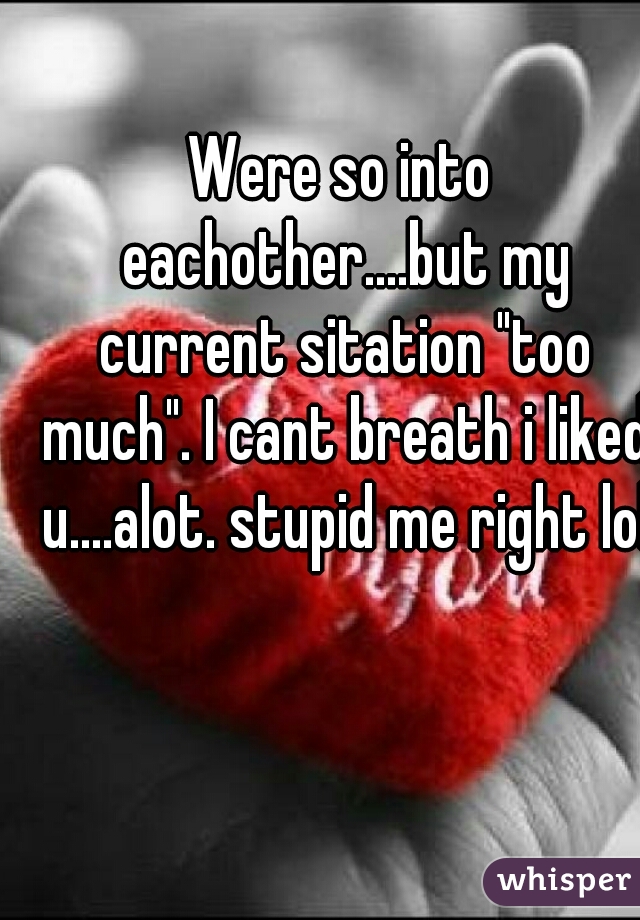 Were so into eachother....but my current sitation "too much". I cant breath i liked u....alot. stupid me right lol