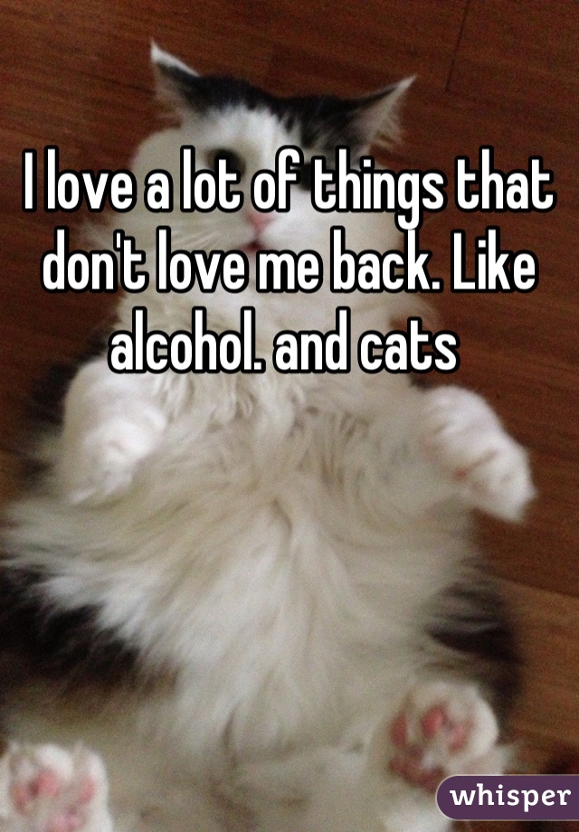 I love a lot of things that don't love me back. Like alcohol. and cats 