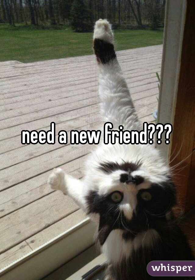 need a new friend???