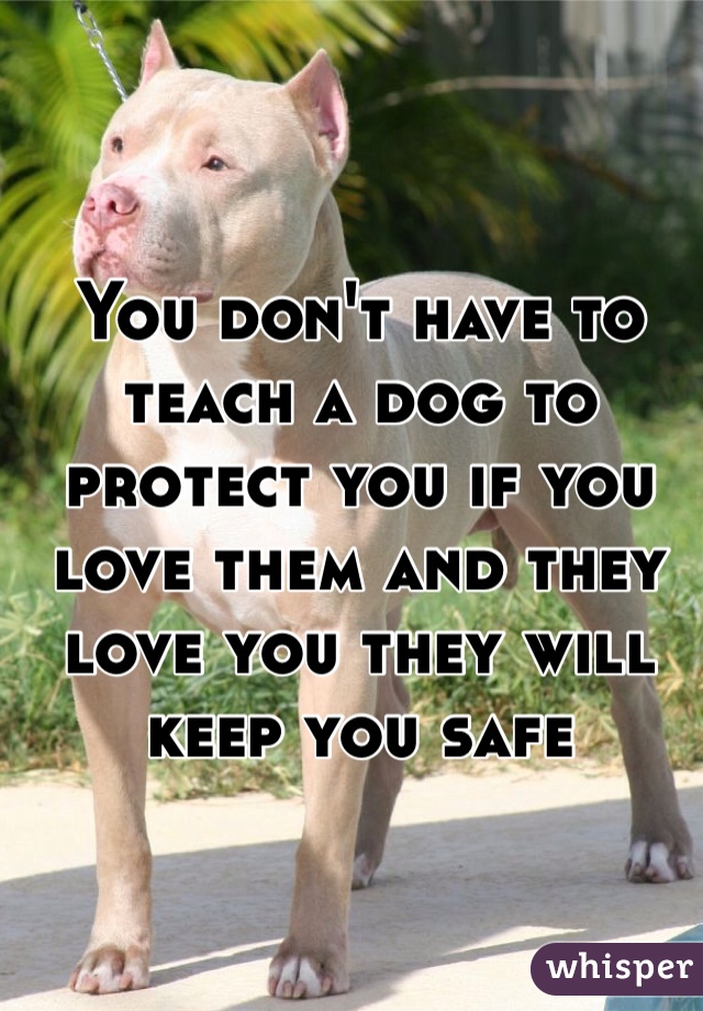 You don't have to teach a dog to protect you if you love them and they love you they will keep you safe