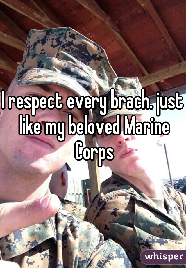 I respect every brach. just like my beloved Marine Corps