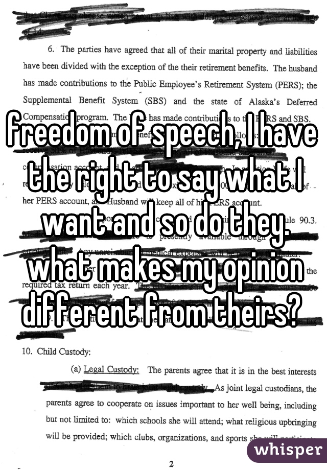 freedom of speech, I have the right to say what I want and so do they. what makes my opinion different from theirs? 