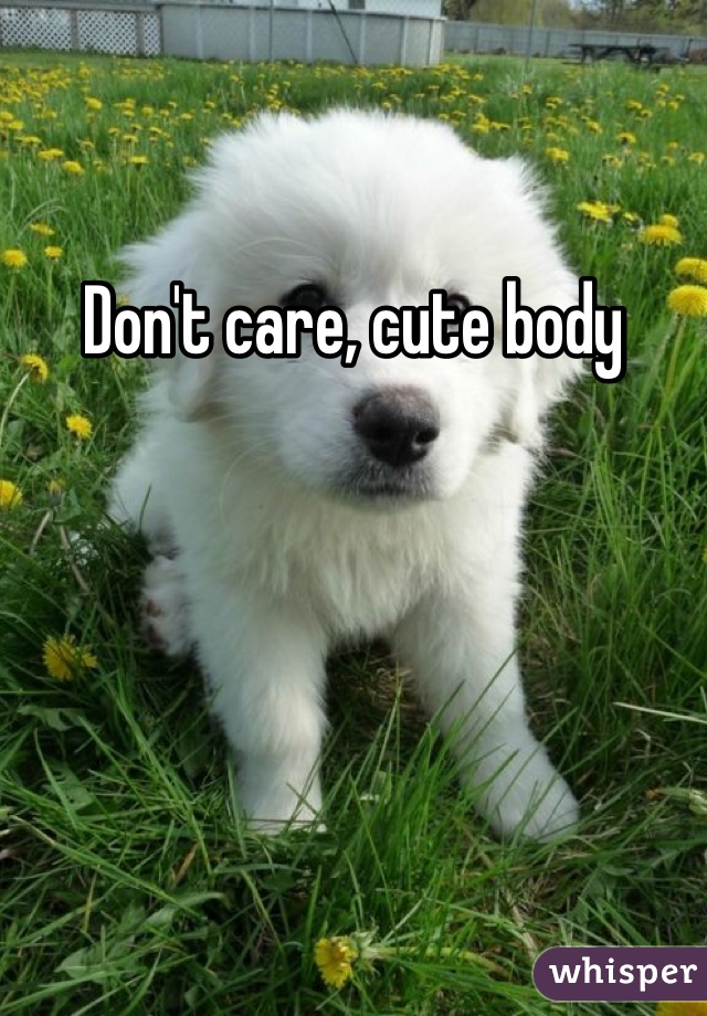 Don't care, cute body