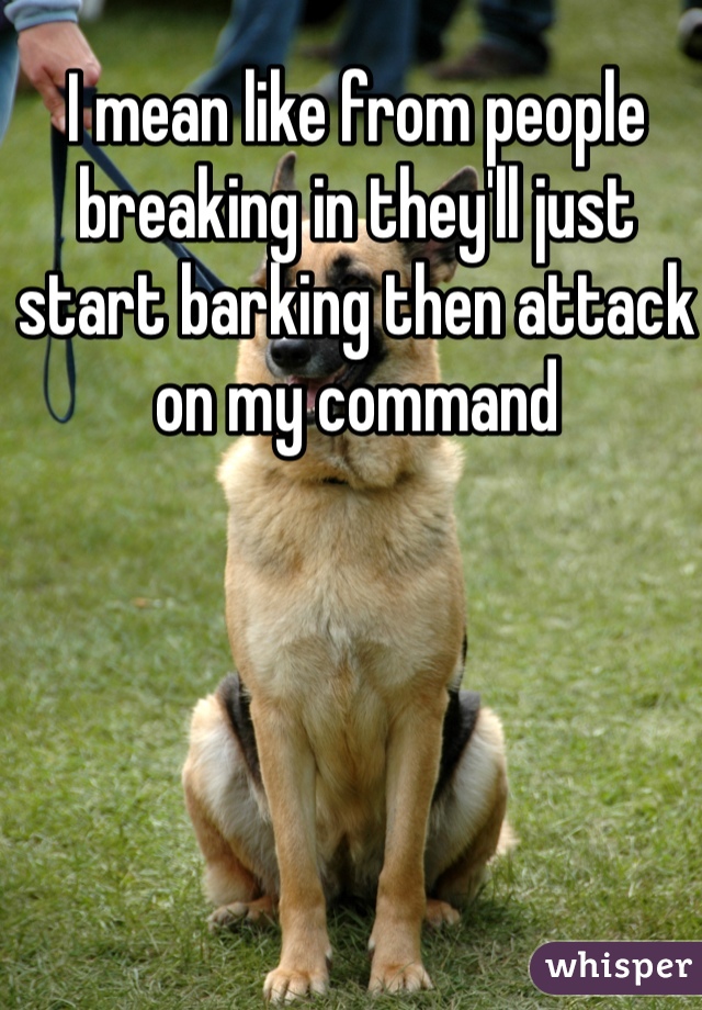 I mean like from people breaking in they'll just start barking then attack on my command