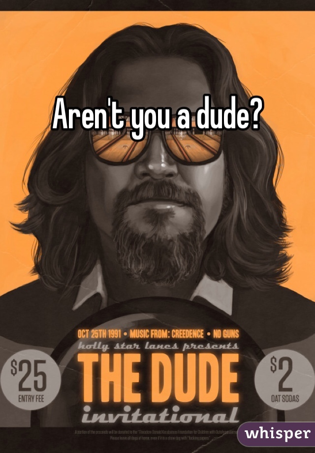 Aren't you a dude?