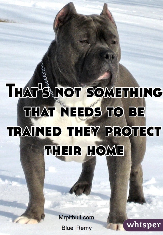That's not something that needs to be trained they protect their home