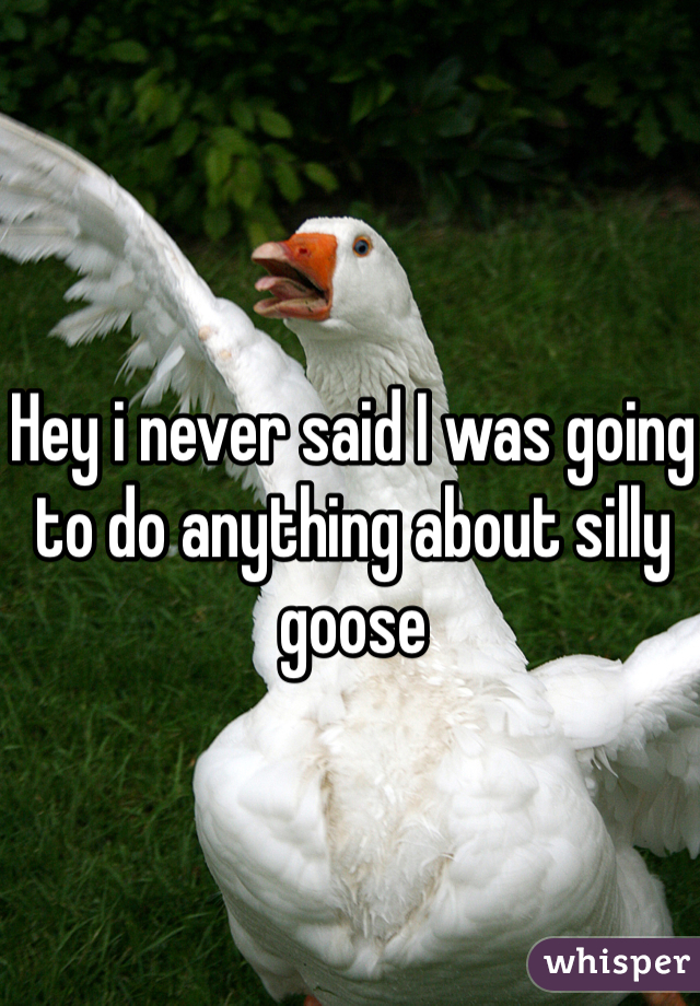 Hey i never said I was going to do anything about silly goose 