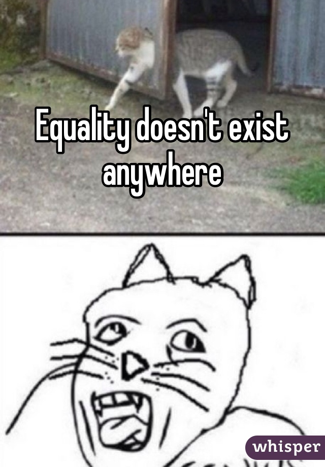 Equality doesn't exist anywhere 