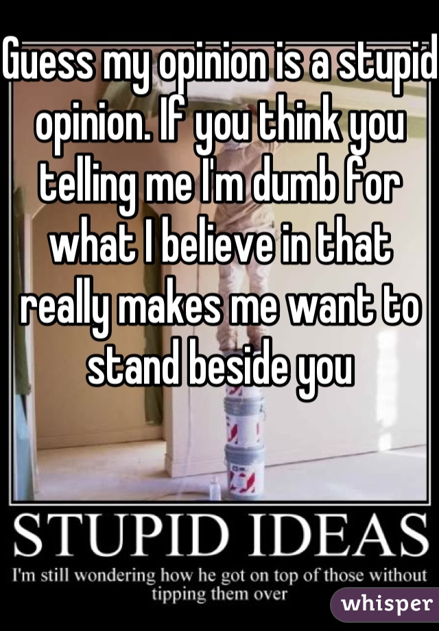 Guess my opinion is a stupid opinion. If you think you telling me I'm dumb for what I believe in that really makes me want to stand beside you