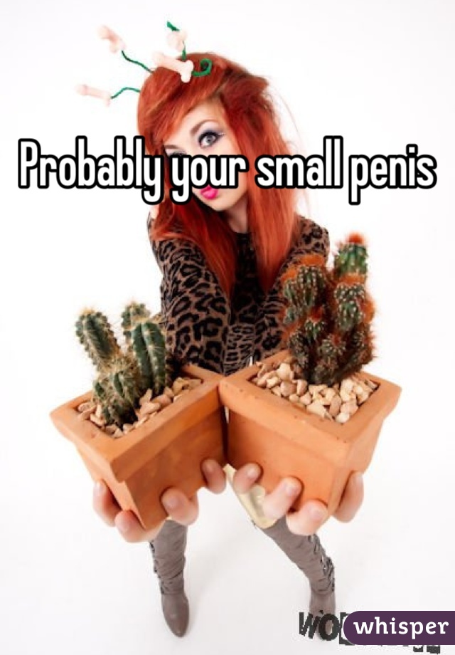 Probably your small penis