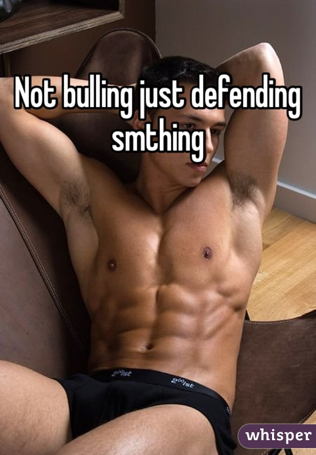Not bulling just defending smthing