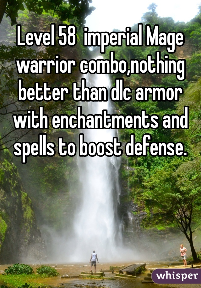 Level 58  imperial Mage warrior combo,nothing better than dlc armor with enchantments and spells to boost defense.  