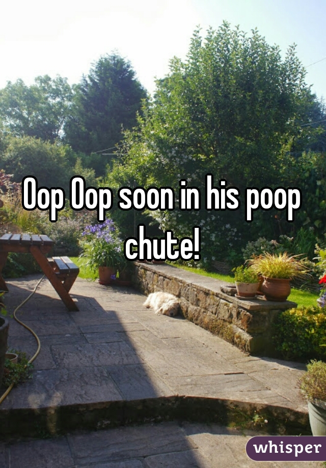 Oop Oop soon in his poop chute! 