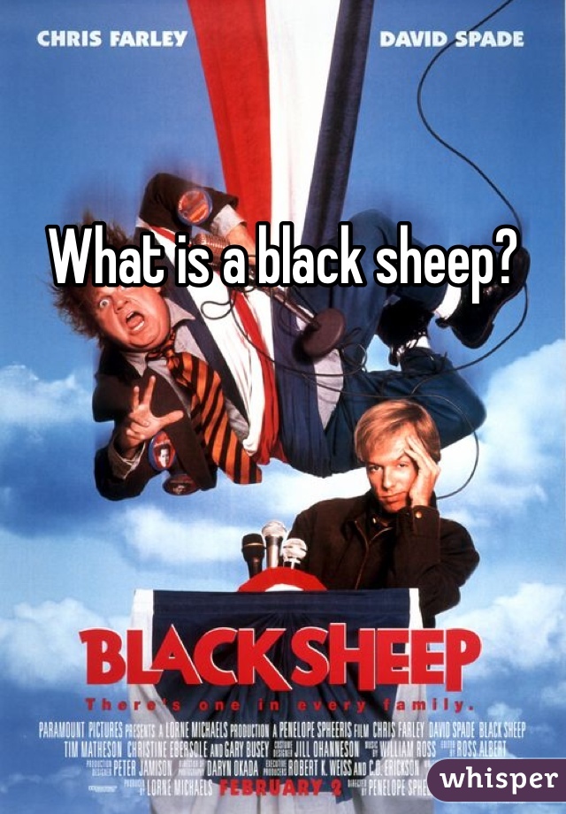 What is a black sheep?