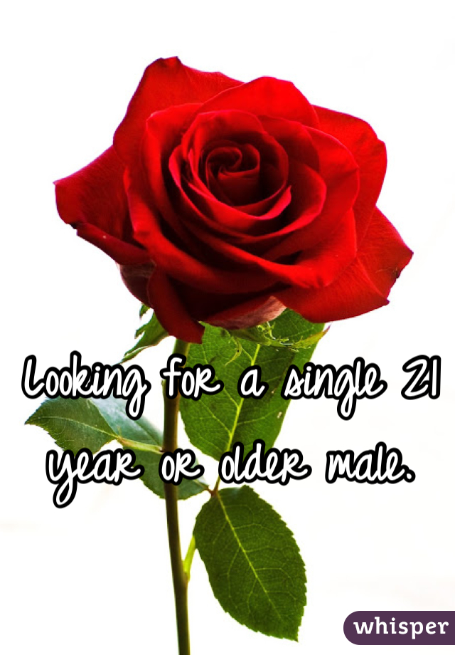 Looking for a single 21 year or older male.