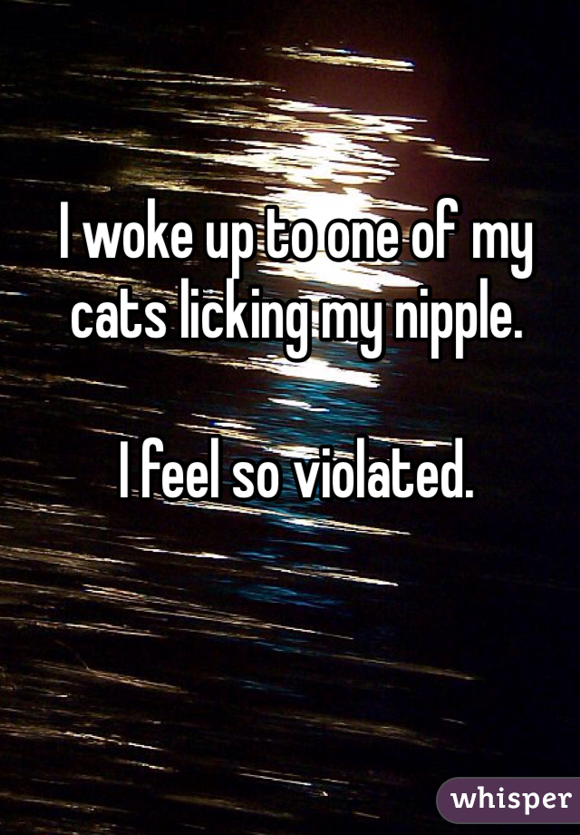 I woke up to one of my cats licking my nipple.

I feel so violated. 