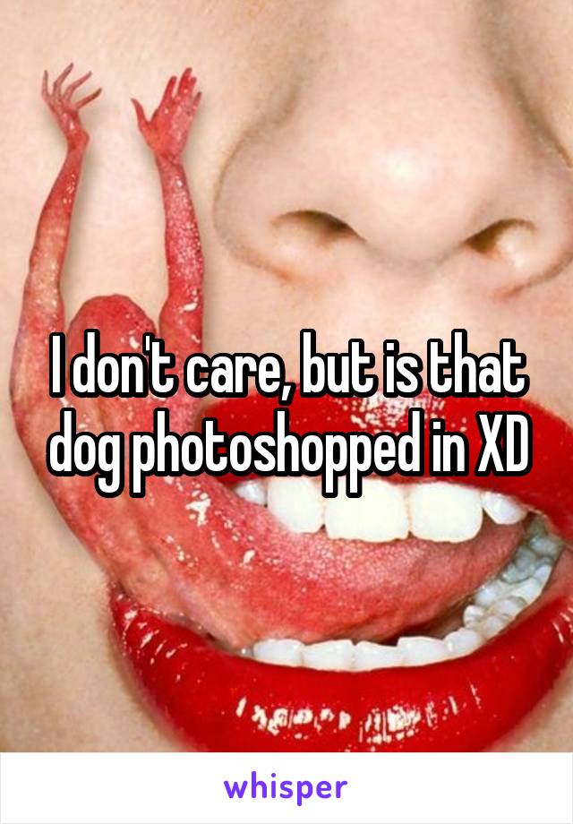 I don't care, but is that dog photoshopped in XD