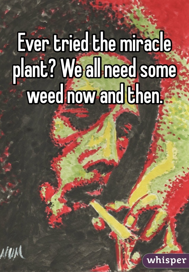 Ever tried the miracle plant? We all need some weed now and then. 