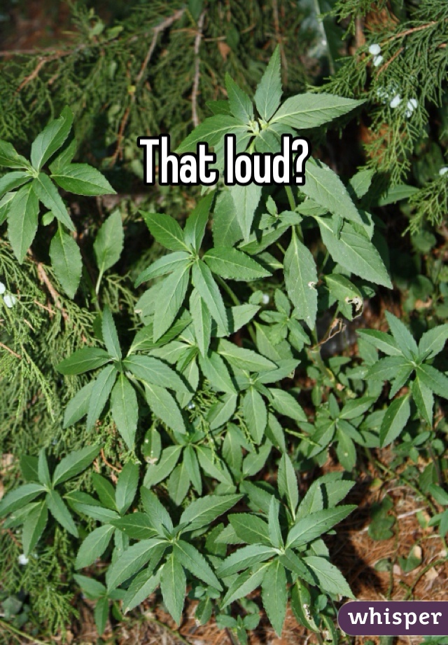 That loud?