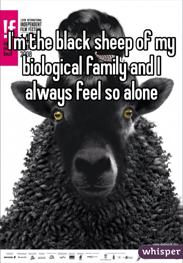 I'm the black sheep of my biological family and I always feel so alone 