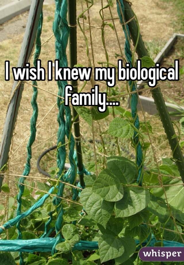 I wish I knew my biological family....