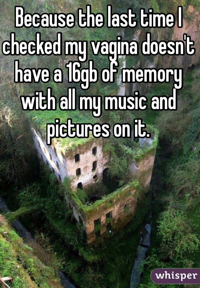 Because the last time I checked my vagina doesn't have a 16gb of memory with all my music and pictures on it. 