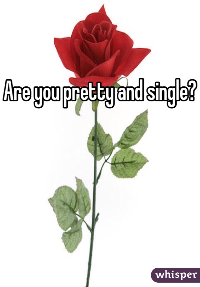 Are you pretty and single?