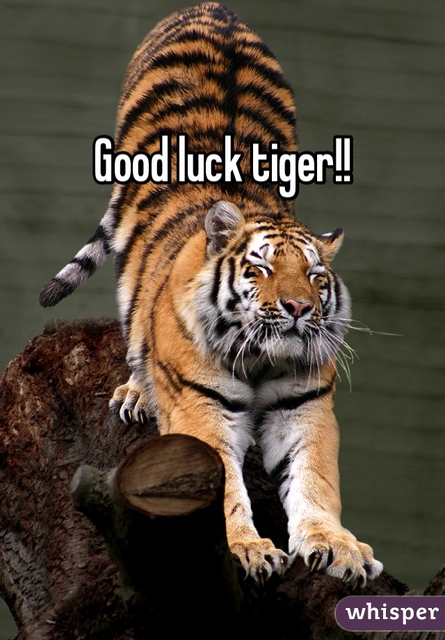 Good luck tiger!! 
