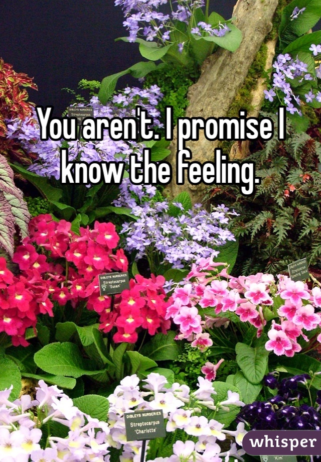 You aren't. I promise I know the feeling. 