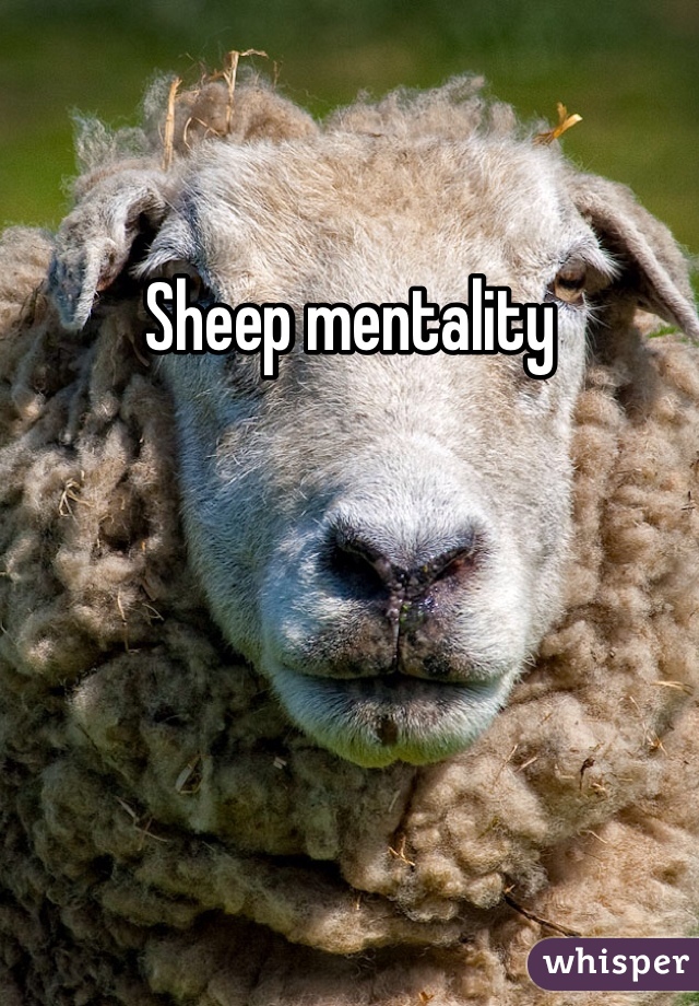 Sheep mentality