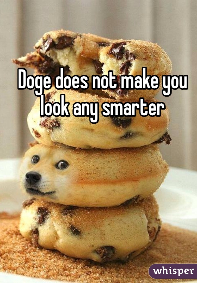 Doge does not make you look any smarter