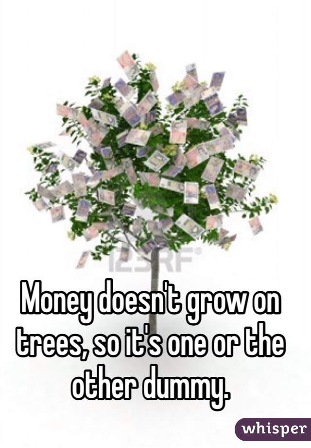 Money doesn't grow on trees, so it's one or the other dummy. 