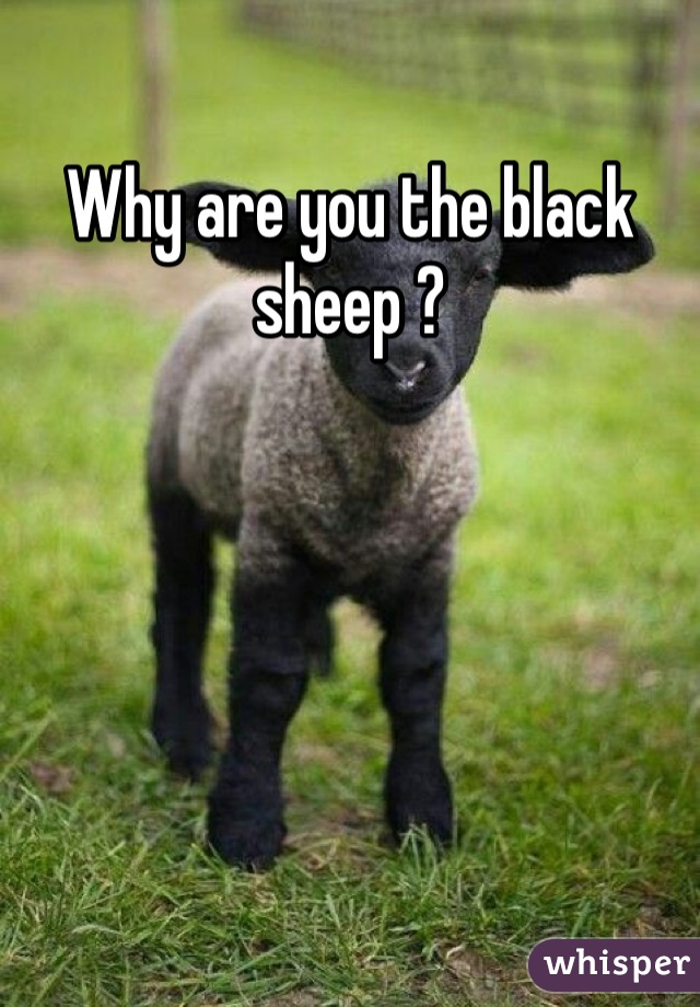 Why are you the black sheep ?  