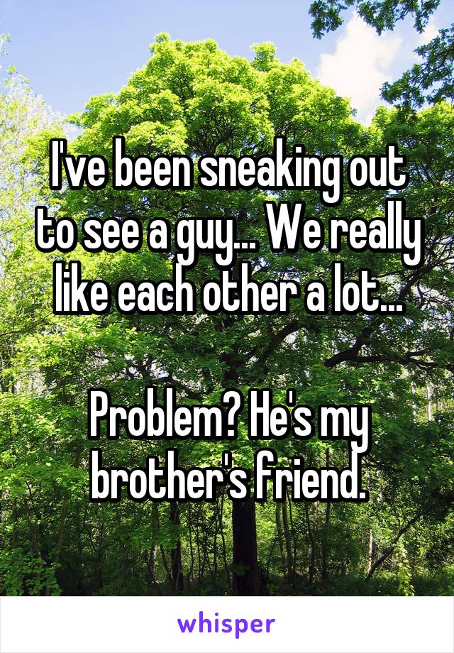I've been sneaking out to see a guy... We really like each other a lot...

Problem? He's my brother's friend.