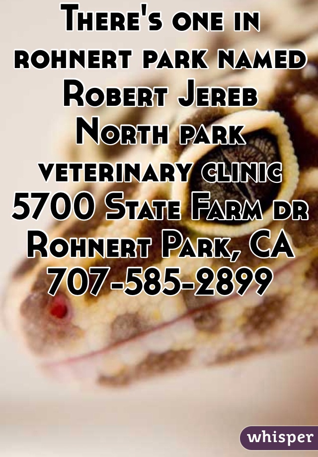 There's one in rohnert park named Robert Jereb
North park veterinary clinic
5700 State Farm dr
Rohnert Park, CA 
707-585-2899 