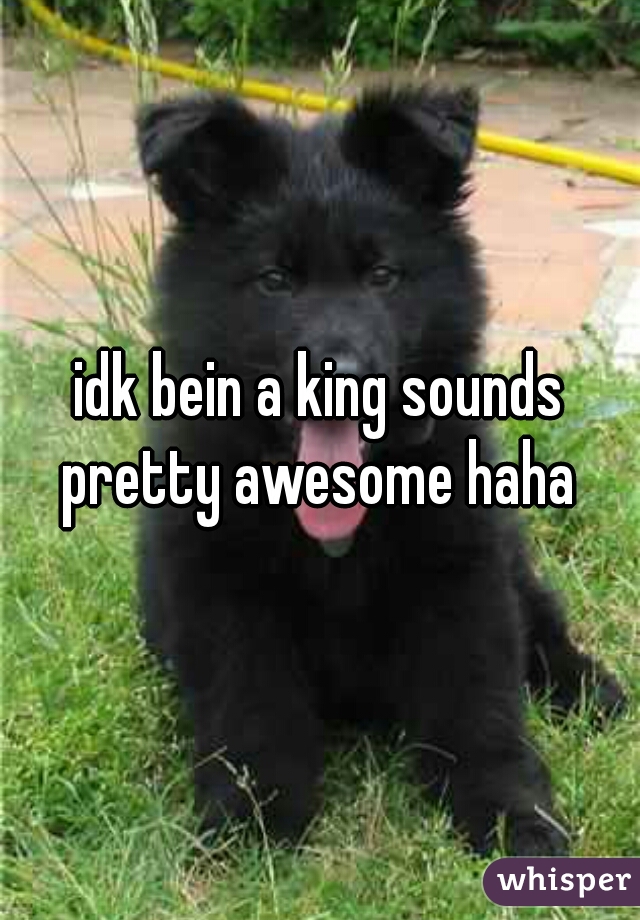 idk bein a king sounds pretty awesome haha 